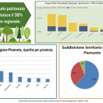 Le foreste in Piemonte - Infografica A.Gado